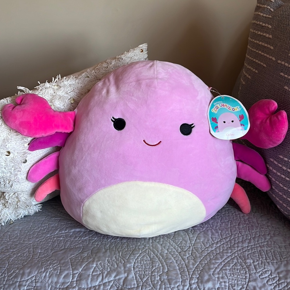 Cailey Crab Squishmallow with tag